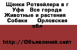 Щенки Ротвейлера в г.Уфа - Все города Животные и растения » Собаки   . Орловская обл.